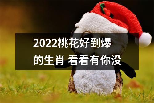 2025桃花好到爆的生肖看看有你没