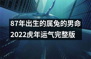 87年出生的属兔的男命2022虎年运气完整版