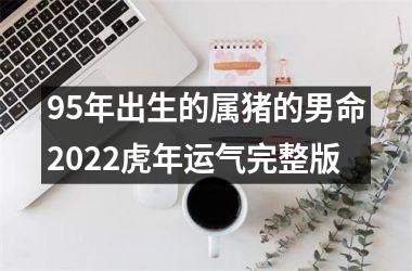 95年出生的属猪的男命2022虎年运气完整版