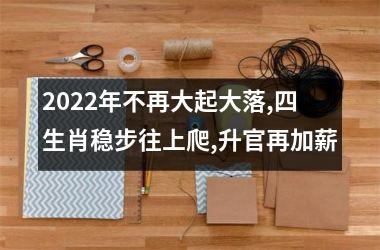 2022年不再大起大落,四生肖稳步往上爬,升官再加薪