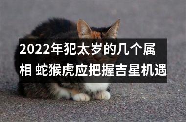 2022年犯太岁的几个属相 蛇猴虎应把握吉星机遇