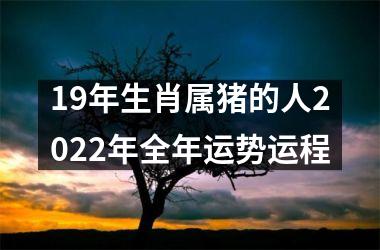 19年生肖属猪的人2022年全年运势运程