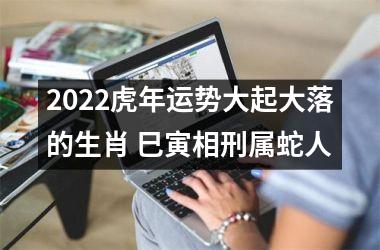 2022虎年运势大起大落的生肖 巳寅相刑属蛇人