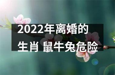 2025年离婚的生肖 鼠牛兔危险