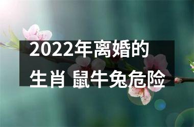 2022年离婚的生肖 鼠牛兔危险