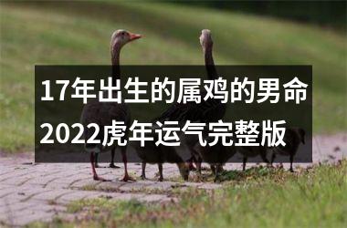 17年出生的属鸡的男命2022虎年运气完整版