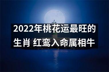 2022年桃花运旺的生肖 红鸾入命属相牛