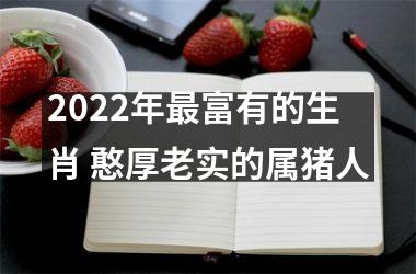 2022年富有的生肖 憨厚老实的属猪人