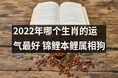 2022年哪个生肖的运气好 锦鲤本鲤属相狗