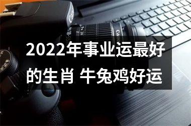 2022年事业运好的生肖 牛兔鸡好运