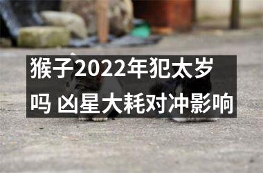 猴子2022年犯太岁吗 凶星大耗对冲影响