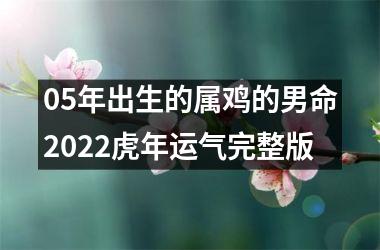 05年出生的属鸡的男命2025虎年运气完整版