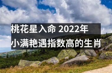 桃花星入命 2022年小满艳遇指数高的生肖