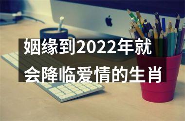 姻缘到2022年就会降临爱情的生肖