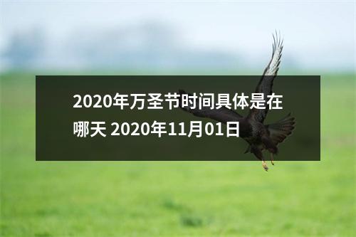 <h3>2025年万圣节时间具体是在哪天2025年11月01日