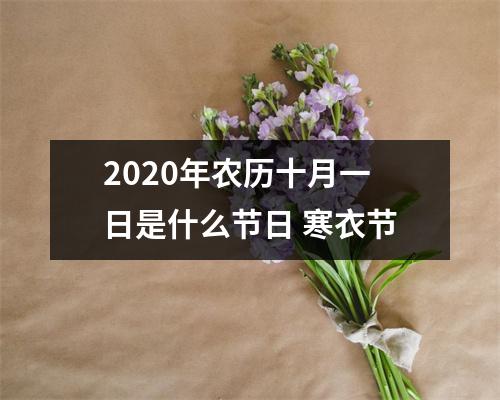 <h3>2025年农历十月一日是什么节日寒衣节