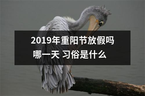 <h3>2019年重阳节放假吗哪一天习俗是什么