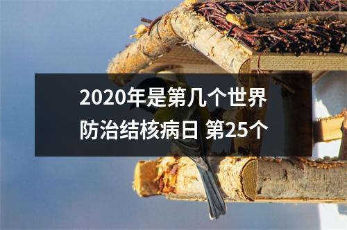 2025年是第几个世界防治结核病日第25个