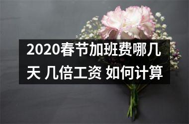 <h3>2025春节加班费哪几天 几倍工资 如何计算