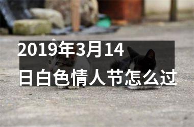 <h3>2019年3月14日白色情人节怎么过
