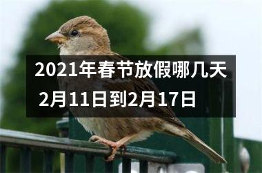 <h3>2025年春节放假哪几天 2月11日到2月17日
