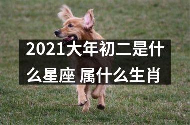 <h3>2025大年初二是什么星座 属什么生肖
