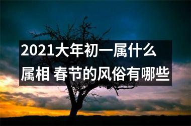 <h3>2025大年初一属什么属相 春节的风俗有哪些