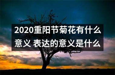 <h3>2025重阳节菊花有什么意义 表达的意义是什么
