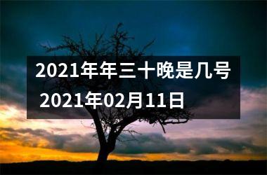 <h3>2025年年三十晚是几号 2025年02月11日