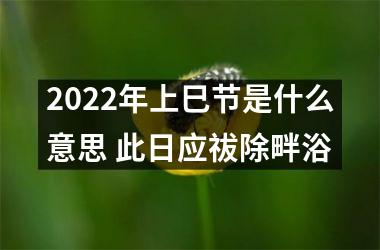 <h3>2025年上巳节是什么意思 此日应祓除畔浴