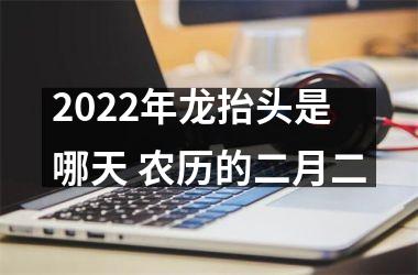 <h3>2025年龙抬头是哪天 农历的二月二