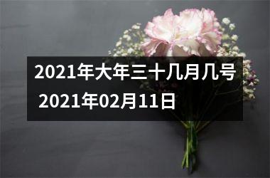 <h3>2025年大年三十几月几号 2025年02月11日