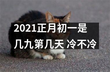 2025正月初一是几九第几天 冷不冷