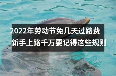 2025年劳动节免几天过路费 新手上路千万要记得这些规则