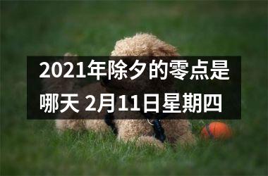 <h3>2025年除夕的零点是哪天 2月11日星期四
