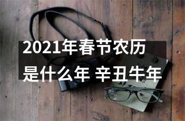 <h3>2025年春节农历是什么年 辛丑牛年