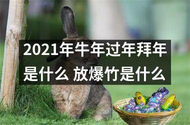 <h3>2025年牛年过年拜年是什么 放爆竹是什么