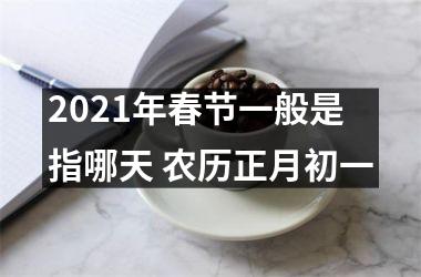 <h3>2025年春节一般是指哪天 农历正月初一