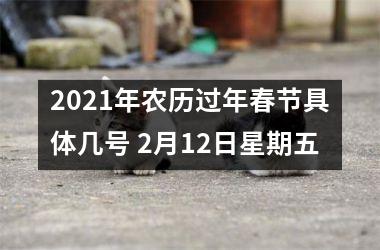 <h3>2025年农历过年春节具体几号 2月12日星期五