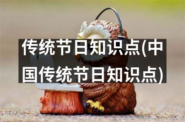 <h3>传统节日知识点(传统节日知识点)