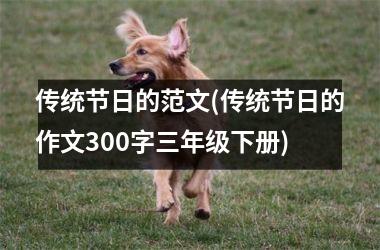 <h3>传统节日的范文(传统节日的作文300字三年级下册)
