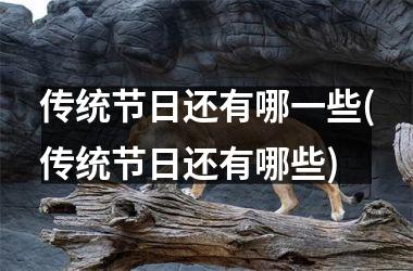 传统节日还有哪一些(传统节日还有哪些)