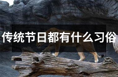 <h3>传统节日都有什么习俗
