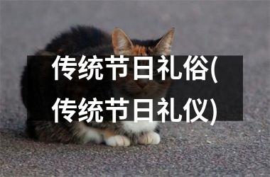 <h3>传统节日礼俗(传统节日礼仪)