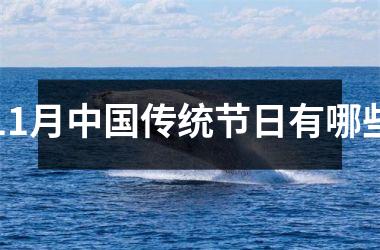 <h3>11月传统节日有哪些