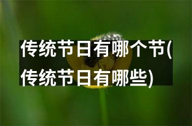 <h3>传统节日有哪个节(传统节日有哪些)