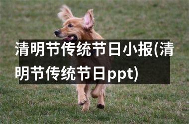 <h3>清明节传统节日小报(清明节传统节日ppt)