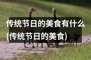 <h3>传统节日的美食有什么(传统节日的美食)