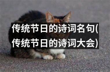 <h3>传统节日的诗词名句(传统节日的诗词大会)
