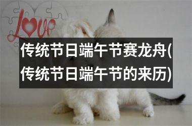 <h3>传统节日端午节赛龙舟(传统节日端午节的来历)